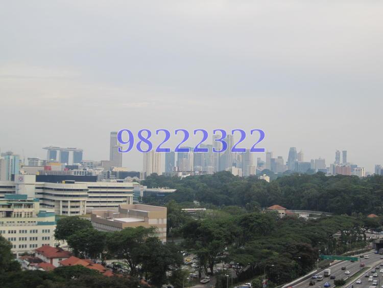 Lucida (D11), Apartment #73846012